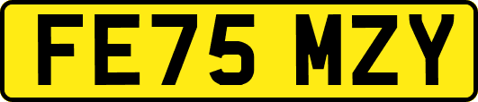 FE75MZY