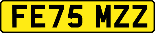 FE75MZZ