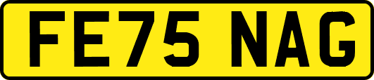 FE75NAG