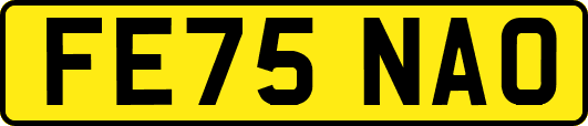 FE75NAO