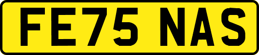 FE75NAS