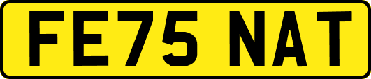 FE75NAT