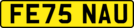 FE75NAU
