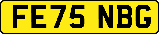 FE75NBG