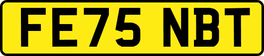 FE75NBT
