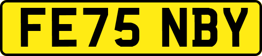 FE75NBY