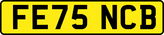 FE75NCB
