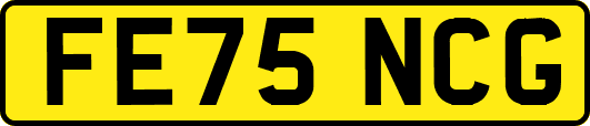 FE75NCG