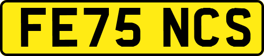 FE75NCS