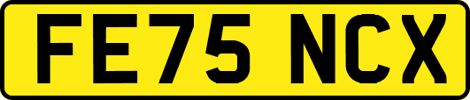 FE75NCX