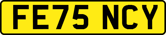 FE75NCY