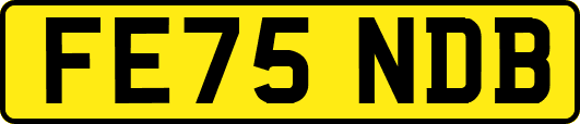 FE75NDB