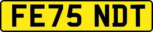FE75NDT