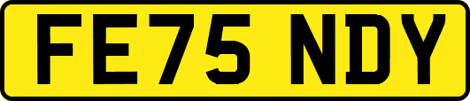 FE75NDY