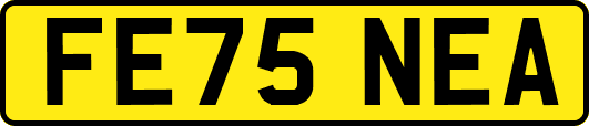 FE75NEA