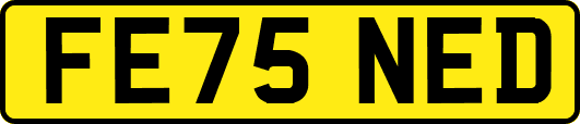 FE75NED