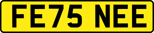 FE75NEE
