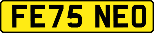 FE75NEO