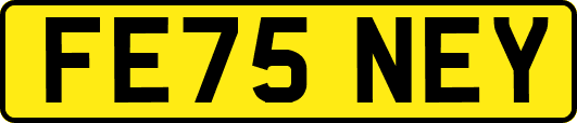 FE75NEY