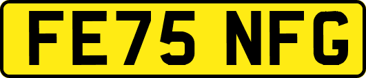 FE75NFG