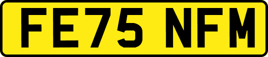 FE75NFM