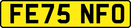 FE75NFO