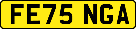 FE75NGA