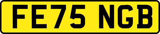 FE75NGB