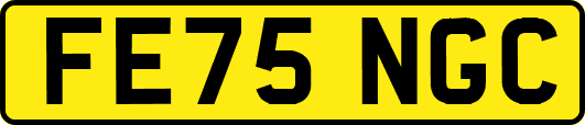 FE75NGC