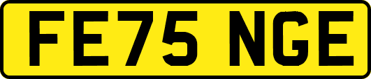 FE75NGE