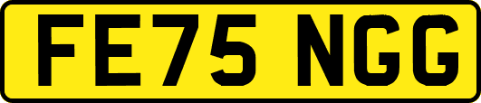 FE75NGG
