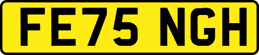 FE75NGH