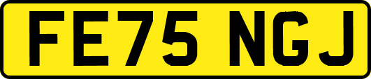 FE75NGJ