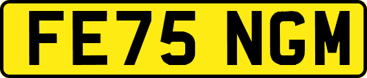 FE75NGM