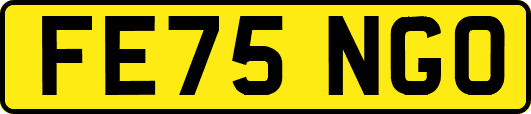 FE75NGO