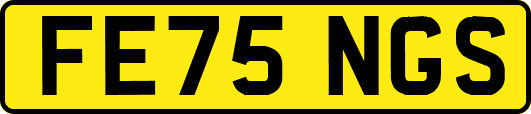FE75NGS
