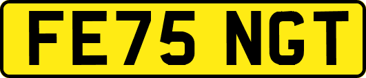 FE75NGT