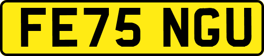FE75NGU