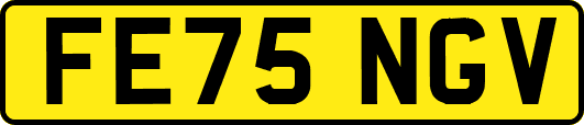 FE75NGV