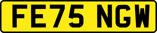 FE75NGW