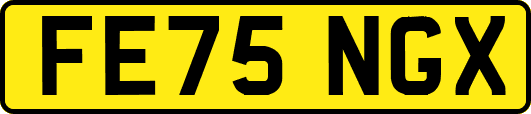 FE75NGX
