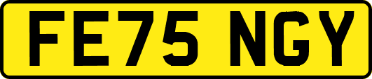 FE75NGY
