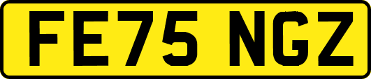 FE75NGZ