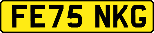 FE75NKG