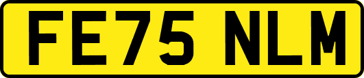 FE75NLM