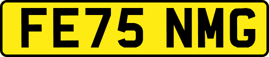 FE75NMG