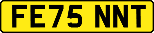 FE75NNT
