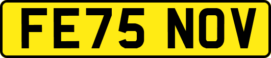 FE75NOV