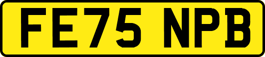 FE75NPB