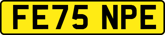 FE75NPE